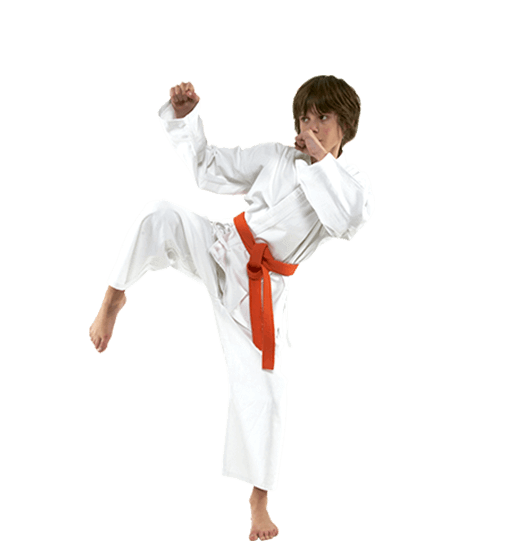 Pre Teen Karate Taekwondo Fitness Martial Arts Judo
